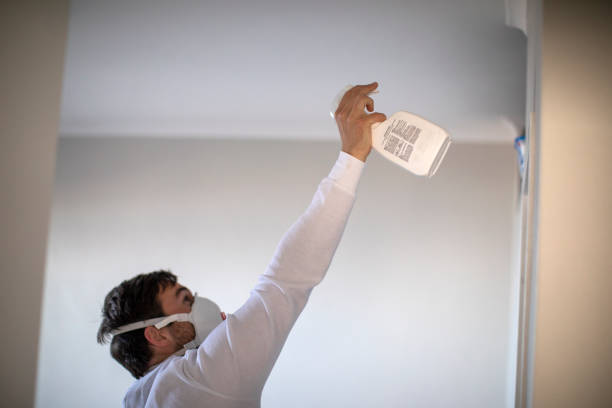 Best Mold Removal Near Me  in Amory, MS