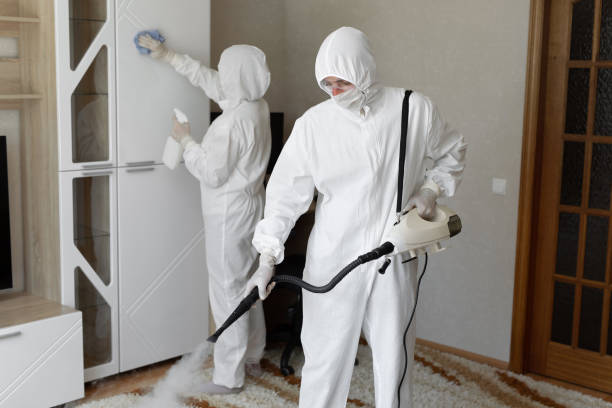 Best Mold Cleaning Services  in Amory, MS