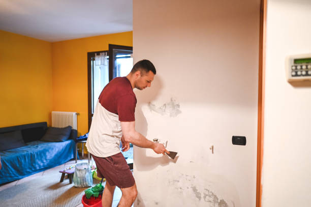 Best Home Mold Removal  in Amory, MS